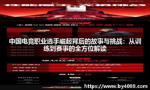 bsports官网入口