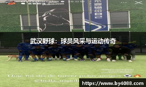 bsports官网入口