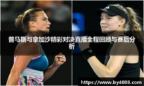 bsports官网入口