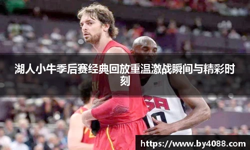 B体育bsports